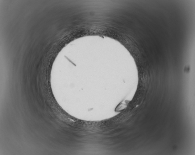 X0000115230817200912111027