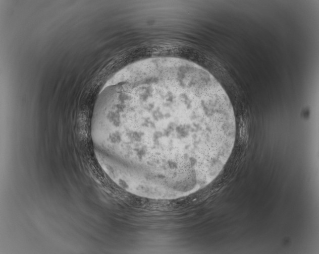 X0000115230819200912111028