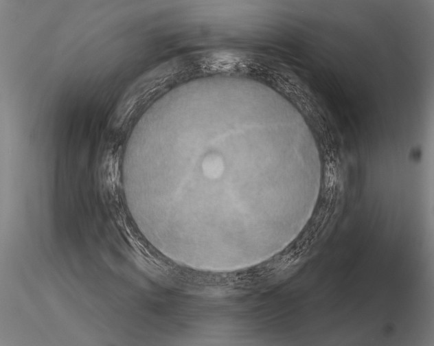 X0000115230820200912111028