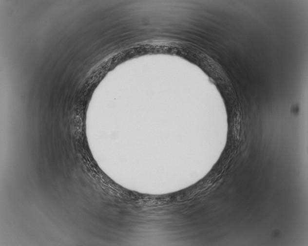 X0000115230821200912111028