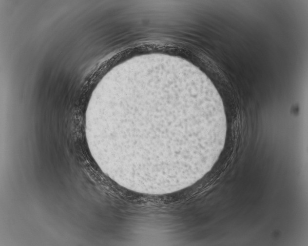 X0000115230822200912111028