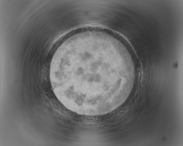 X0000115230823200912111028