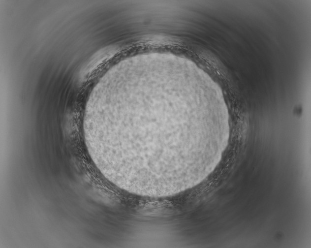 X0000115230824200912111028