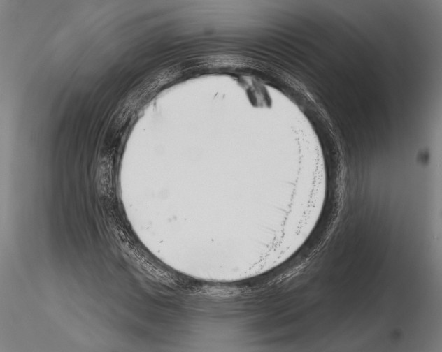 X0000115230825200912111028