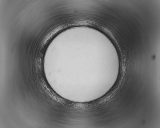 X0000115230827200912111028