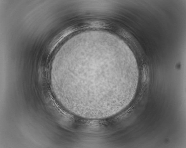 X0000115230828200912111028