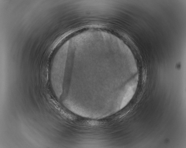 X0000115230829200912111028