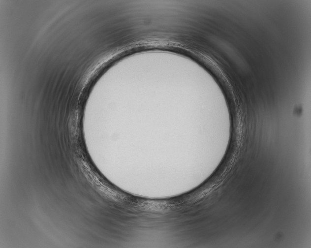 X0000115230831200912111028