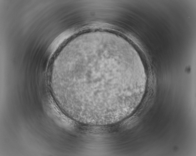 X0000115230832200912111028