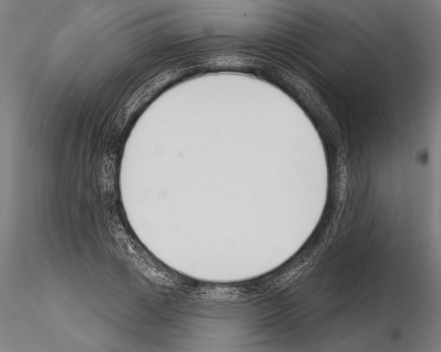 X0000115230833200912111028