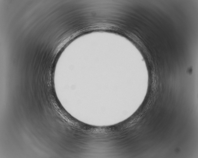 X0000115230834200912111028