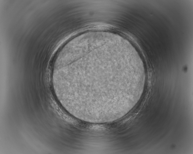 X0000115230835200912111028