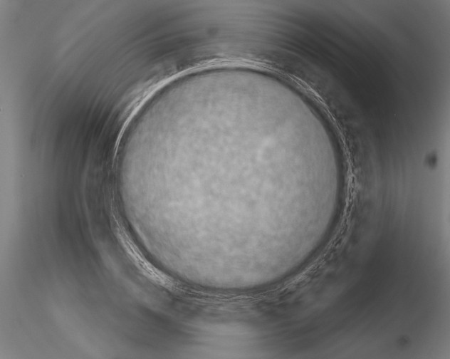 X0000115230836200912111028