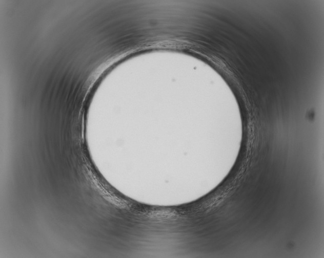 X0000115230838200912111028