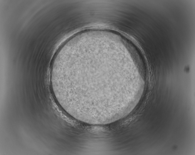 X0000115230839200912111028