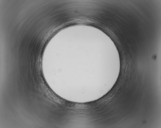 X0000115230840200912111028