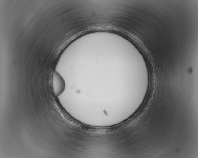 X0000115230841200912111028