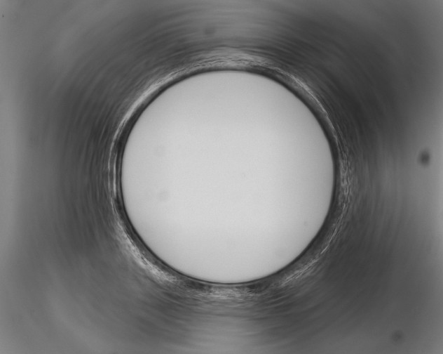 X0000115230843200912111028