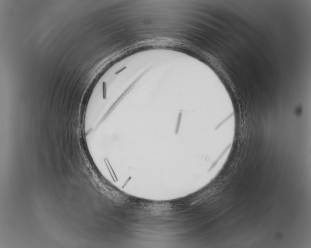 X0000115230845200912111028