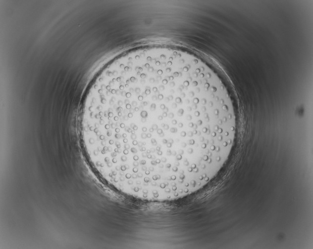 X0000115230847200912111028