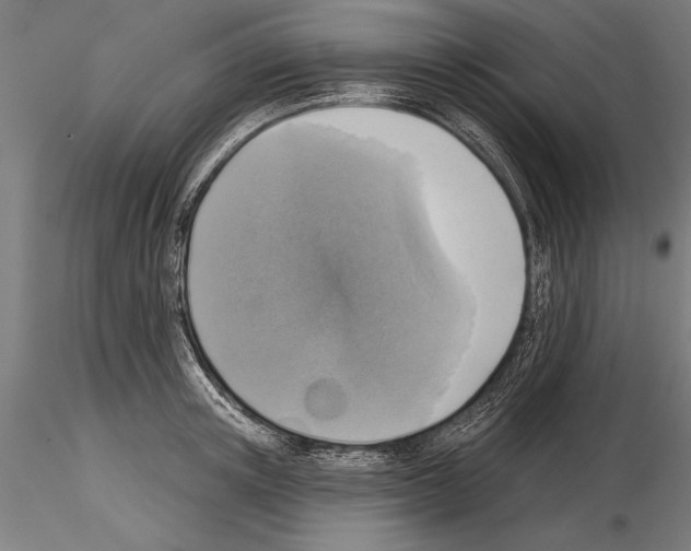 X0000115230851200912111028