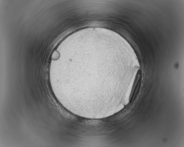 X0000115230853200912111028