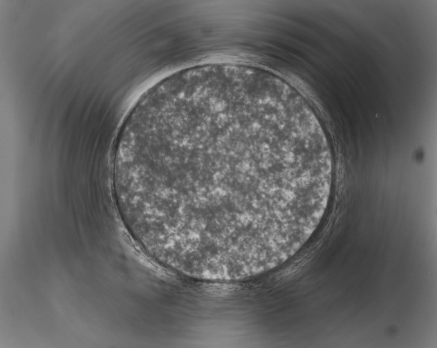 X0000115230854200912111028