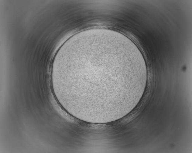 X0000115230859200912111028