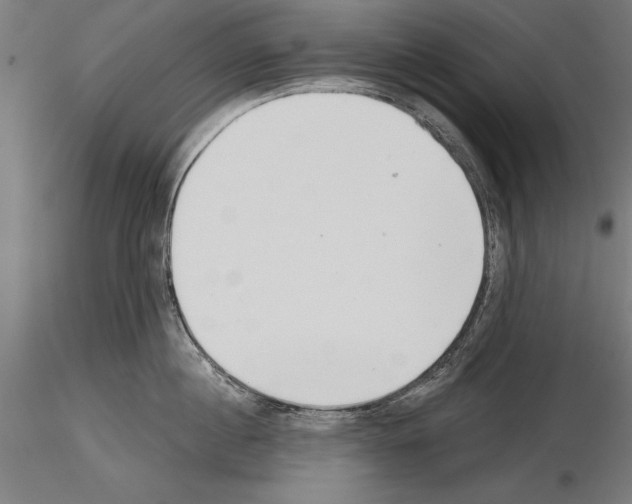 X0000115230860200912111028