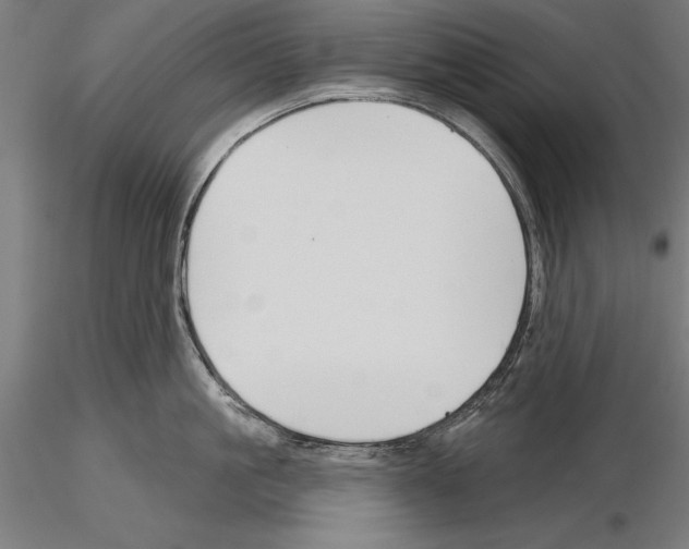 X0000115230861200912111028