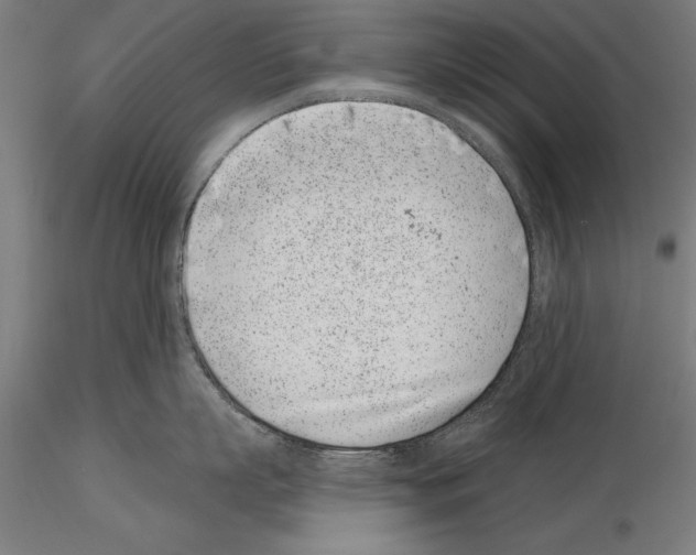 X0000115230863200912111028