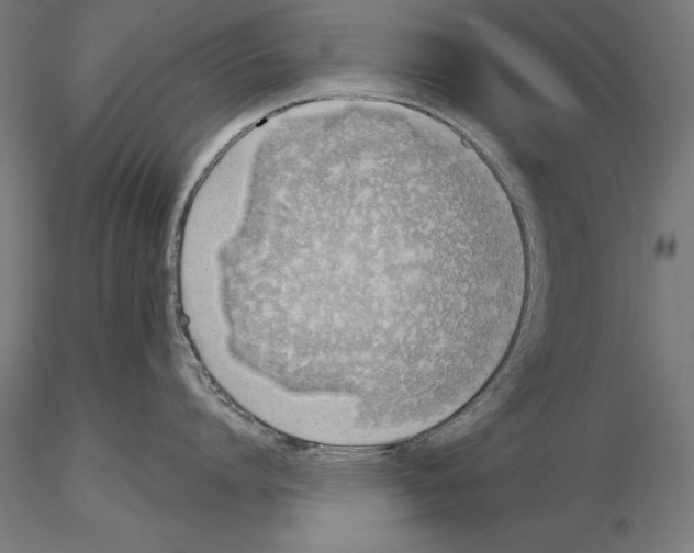 X0000115230864200912111028