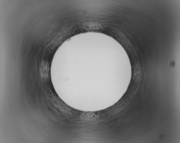 X0000115230866200912111027