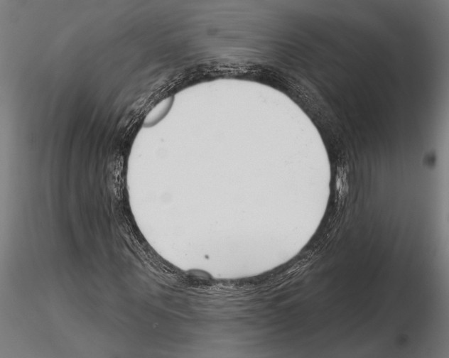 X0000115230867200912111027