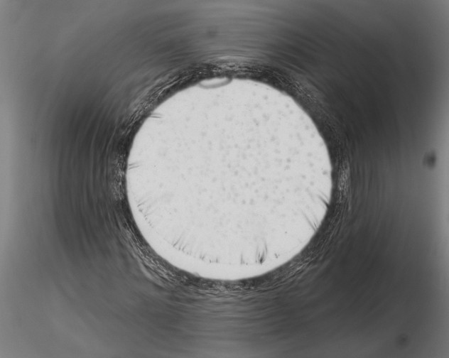 X0000115230868200912111027