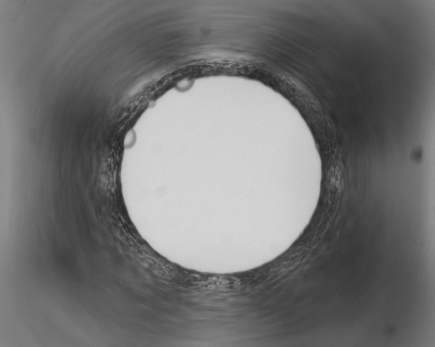 X0000115230869200912111027