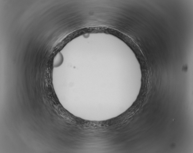 X0000115230871200912111027