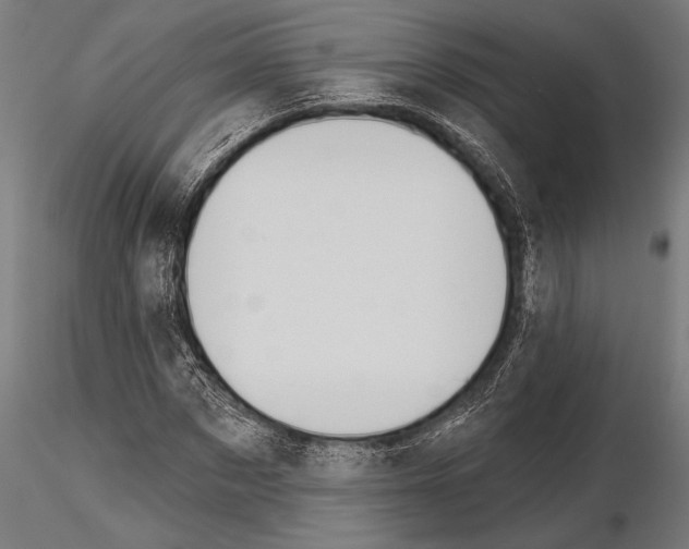 X0000115230873200912111027