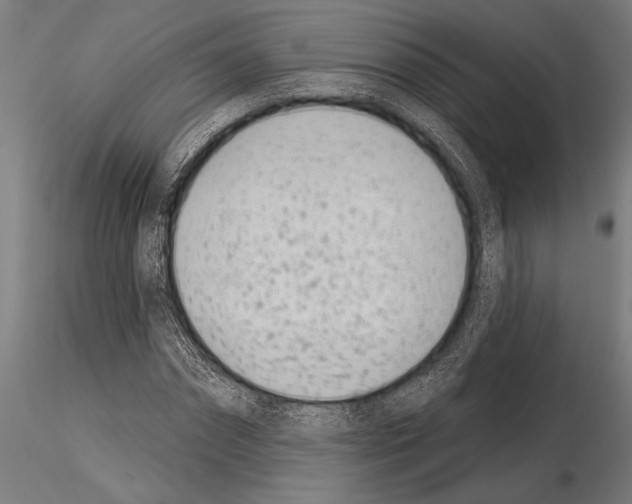 X0000115230874200912111027