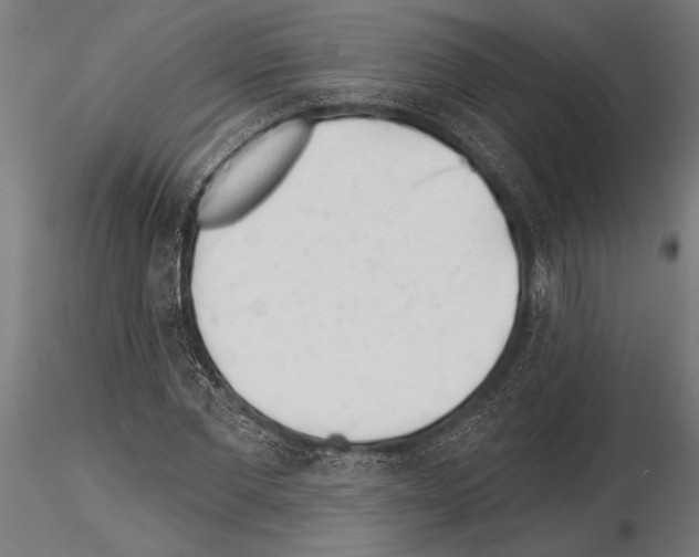 X0000115230877200912111027