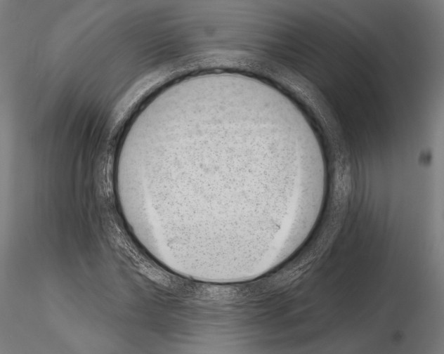 X0000115230878200912111027