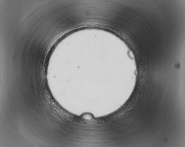 X0000115230880200912111027