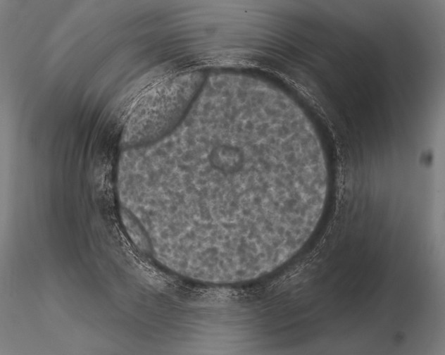 X0000115230881200912111027