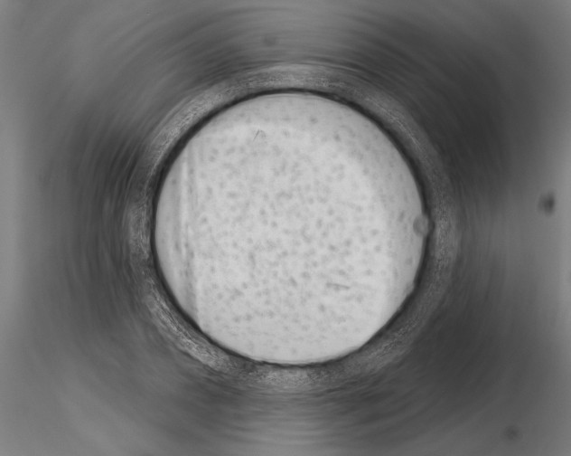 X0000115230882200912111027