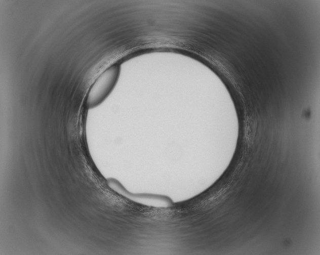 X0000115230885200912111027