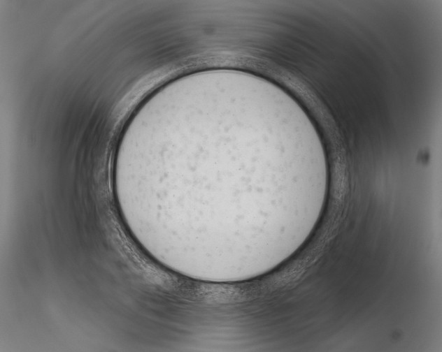 X0000115230886200912111027