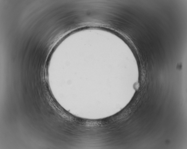 X0000115230887200912111027