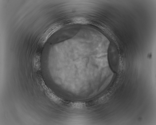 X0000115230889200912111027