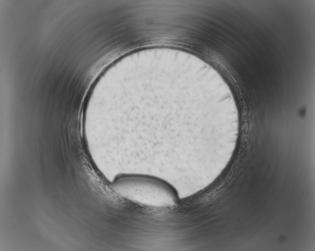 X0000115230892200912111027