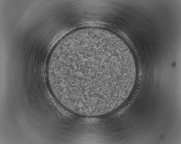 X0000115230893200912111027